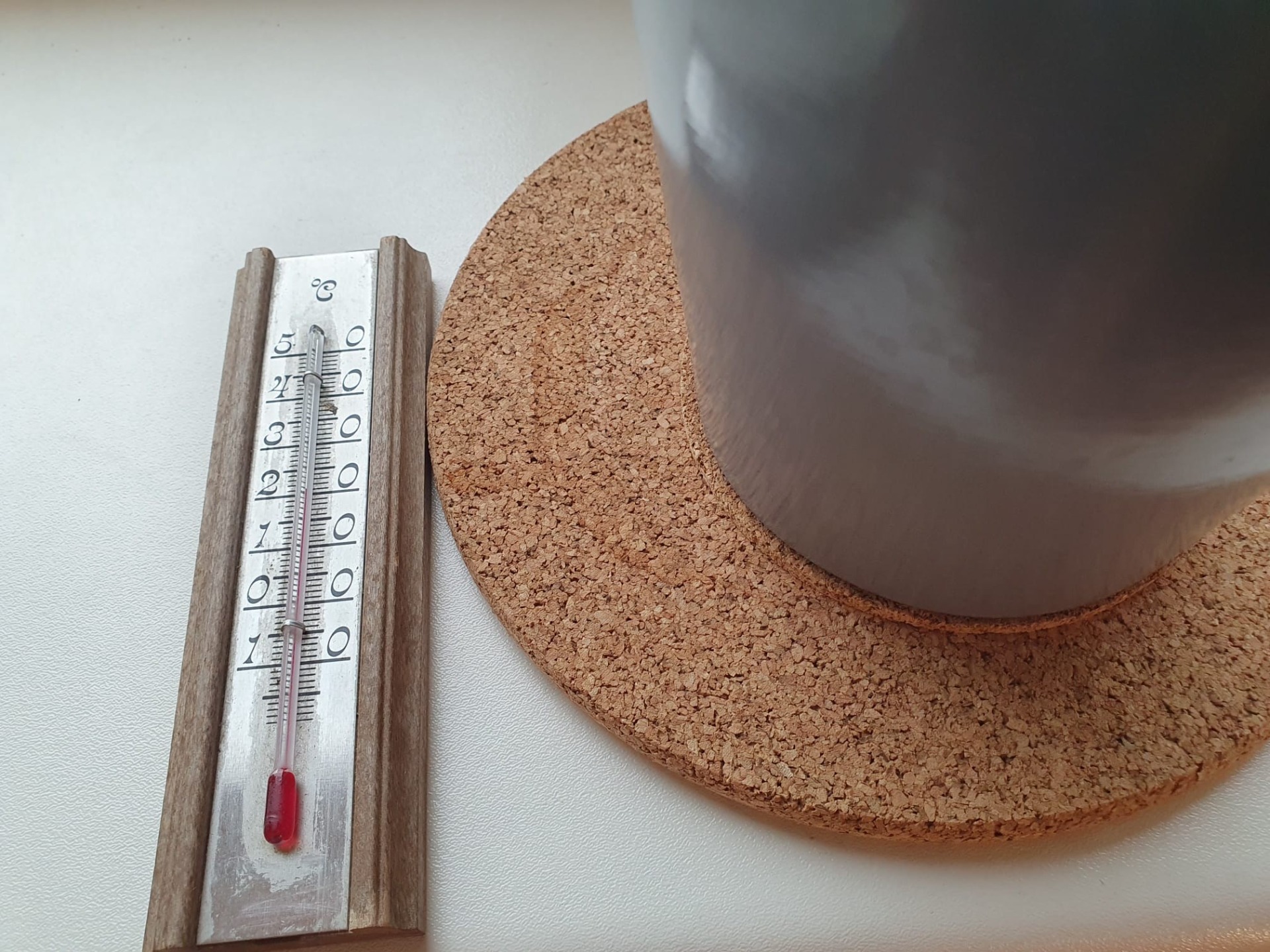 Hoijas pods uz korķa paliktņa uz palodzes